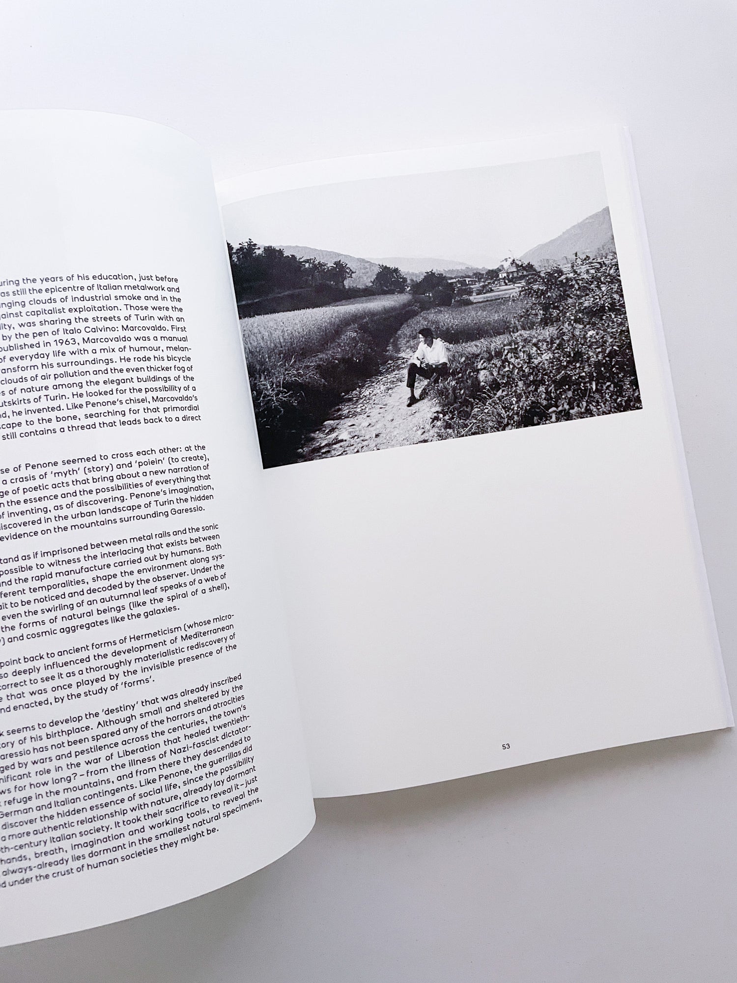 THOUGHTS IN THE ROOTS / Giuseppe Penone