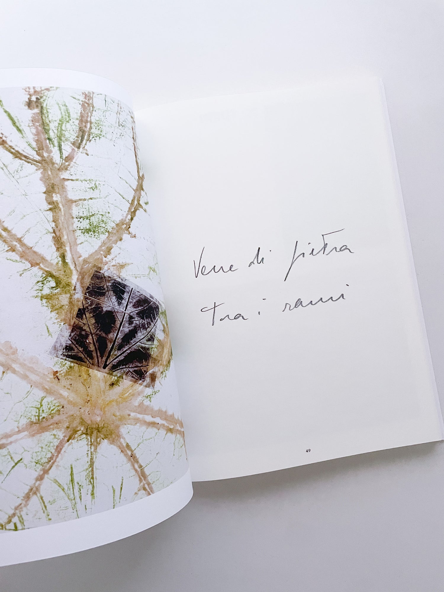 THOUGHTS IN THE ROOTS / Giuseppe Penone