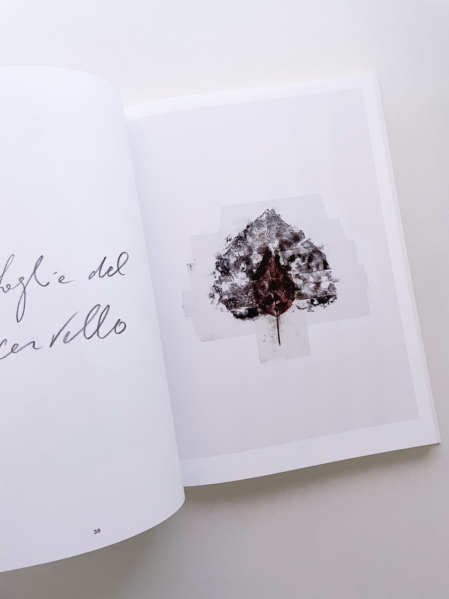 THOUGHTS IN THE ROOTS / Giuseppe Penone