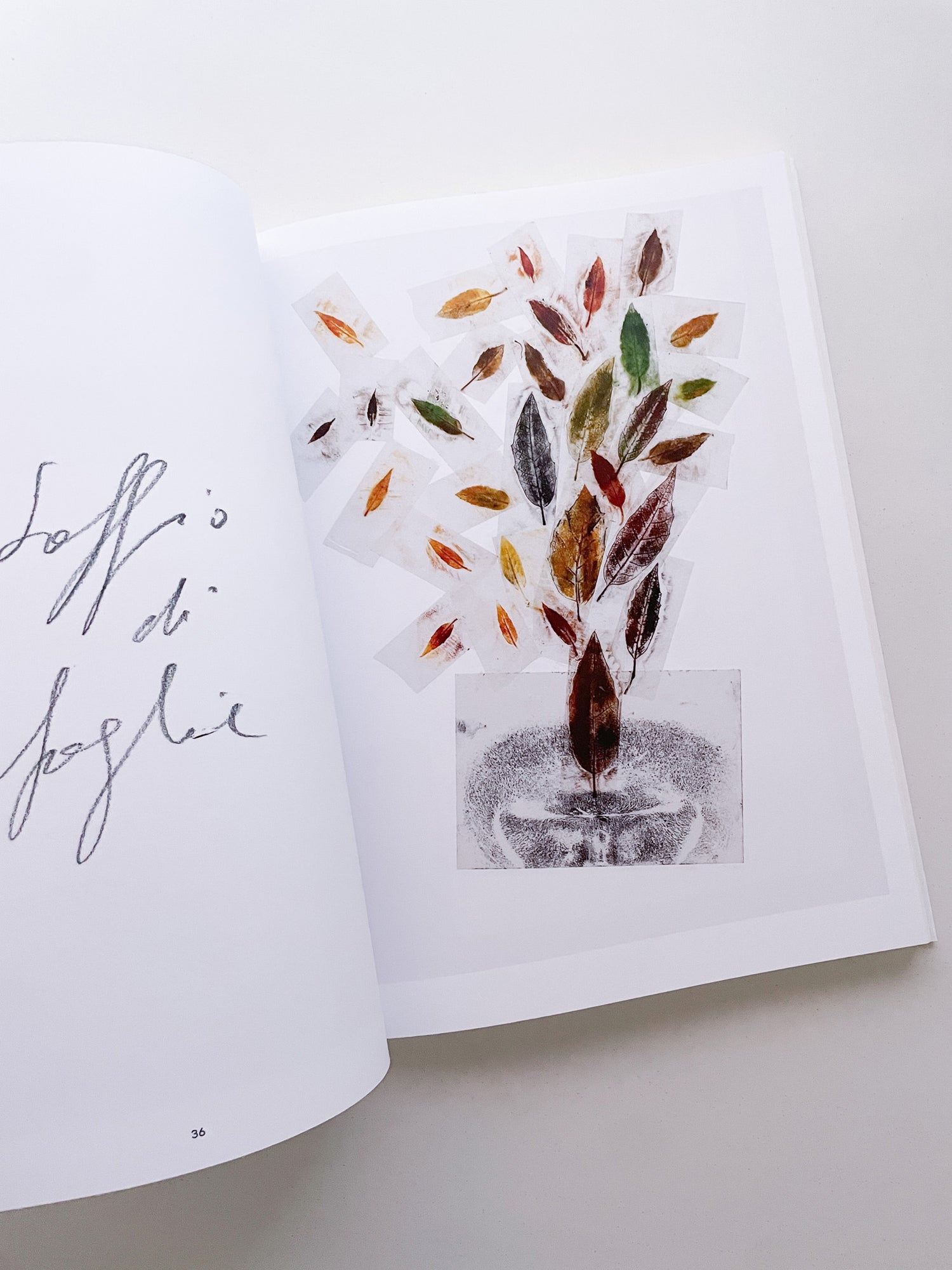 THOUGHTS IN THE ROOTS / Giuseppe Penone