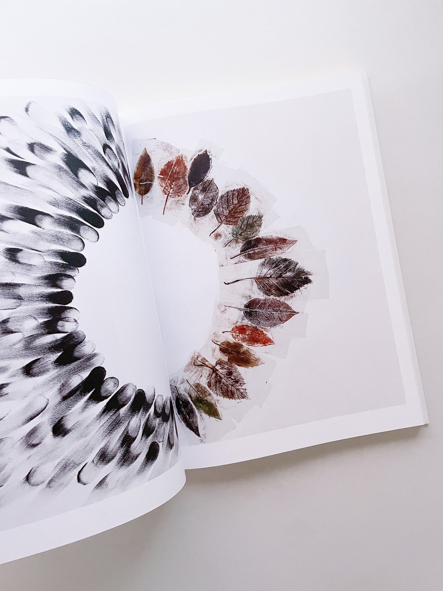 THOUGHTS IN THE ROOTS / Giuseppe Penone