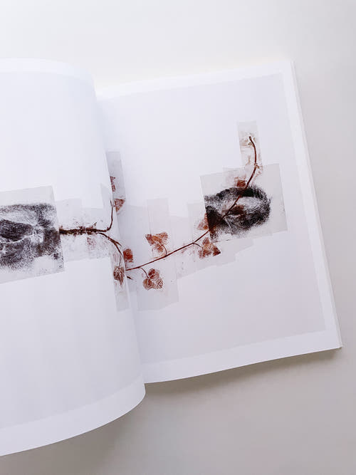 THOUGHTS IN THE ROOTS / Giuseppe Penone