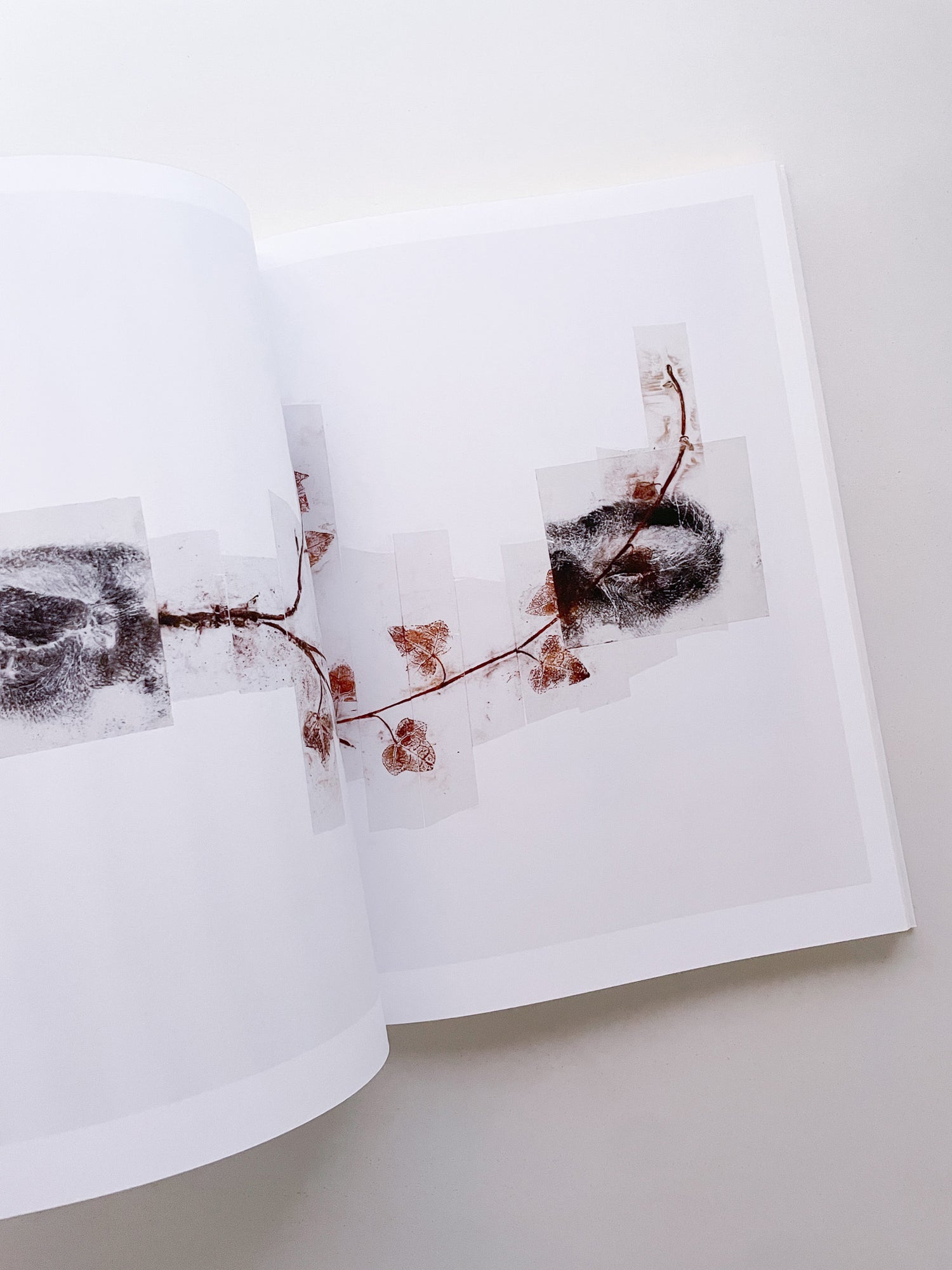 THOUGHTS IN THE ROOTS / Giuseppe Penone