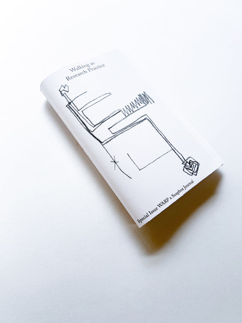 Walking as Research Practice