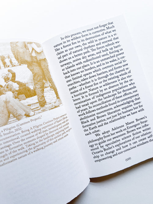 Walking as Research Practice