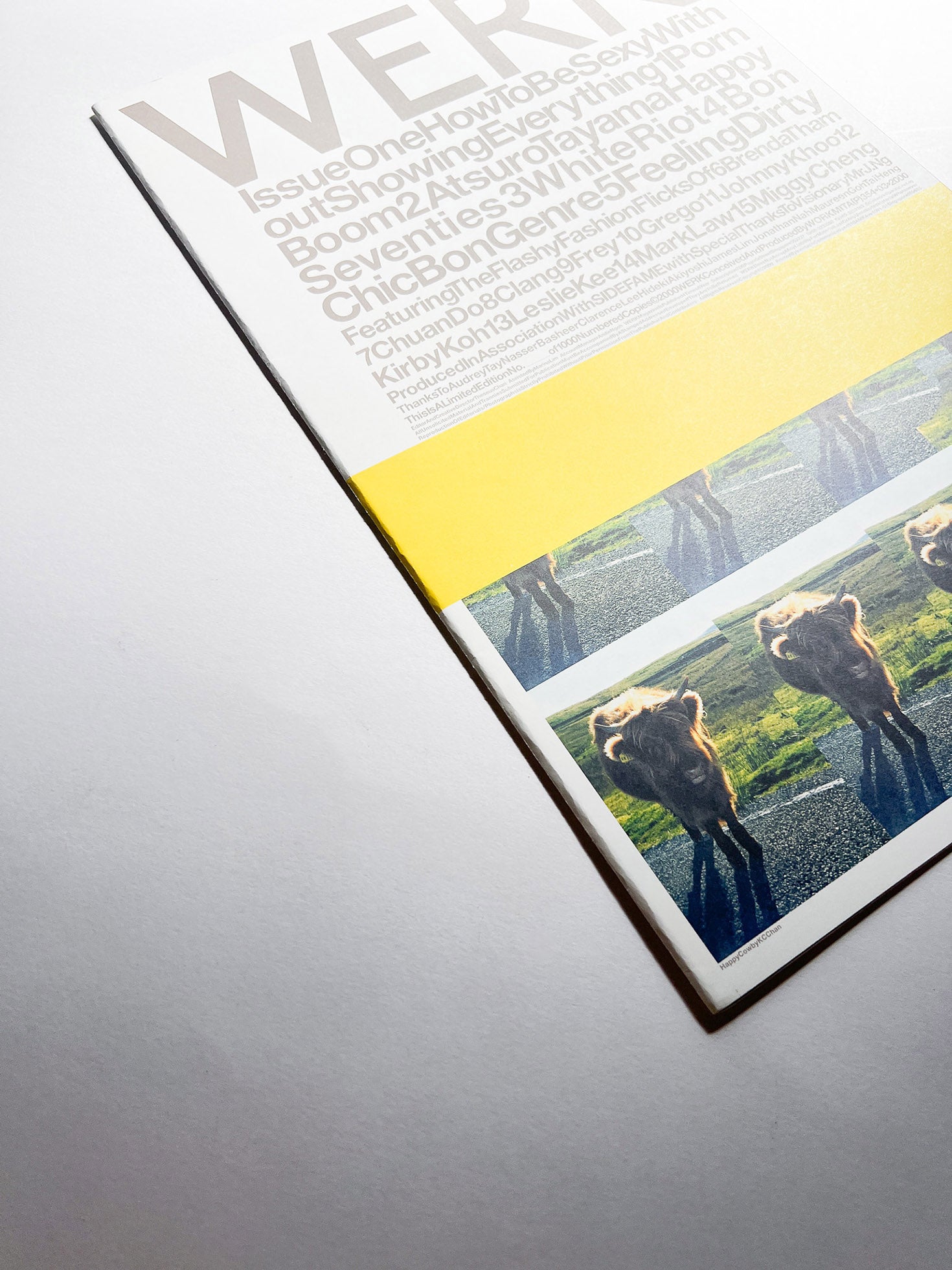 WERK No.1: How To Be Sexy Without Showing Everything (2000)