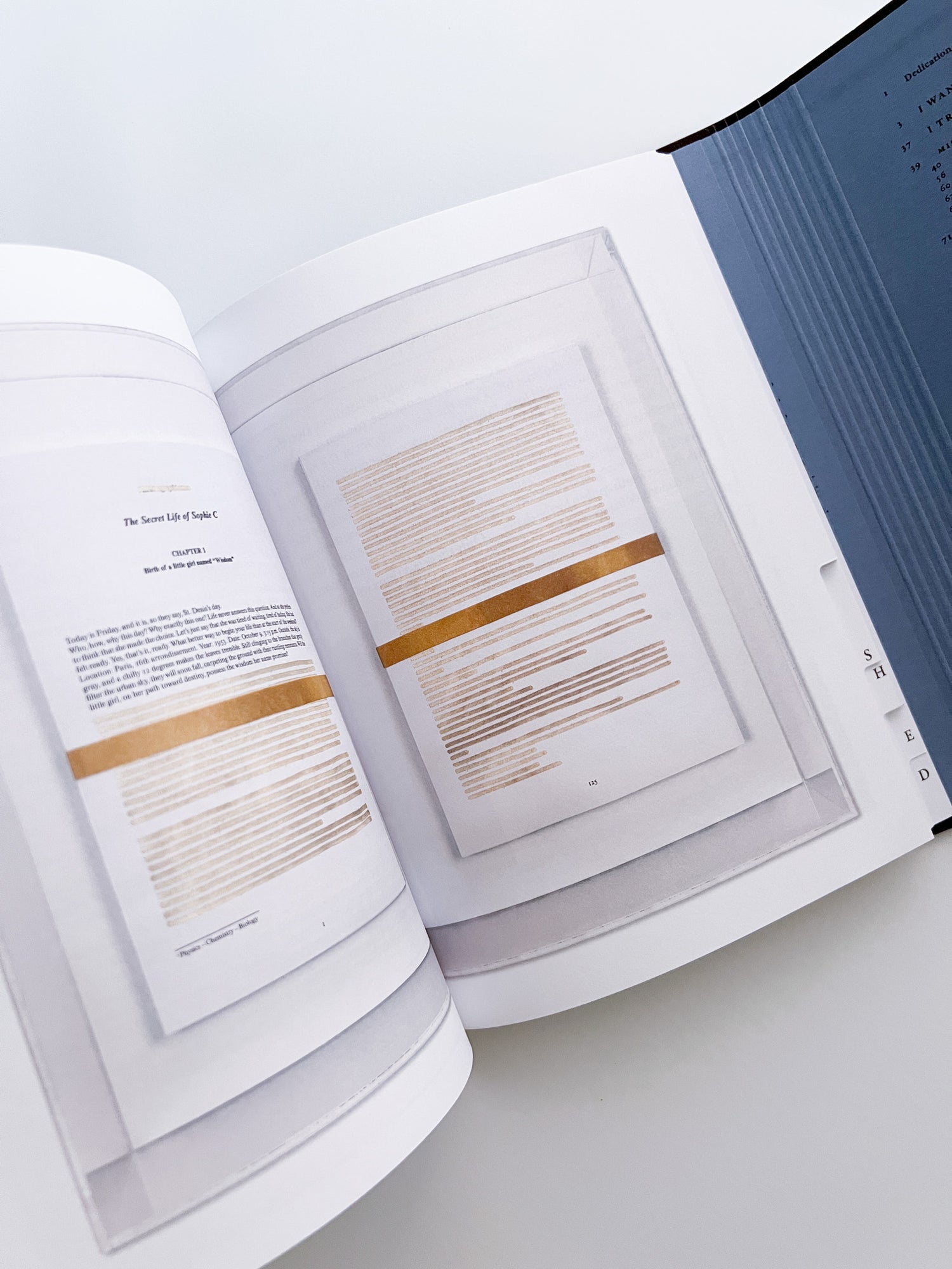 Catalogue raisonné of the unfinished / Sophie Calle