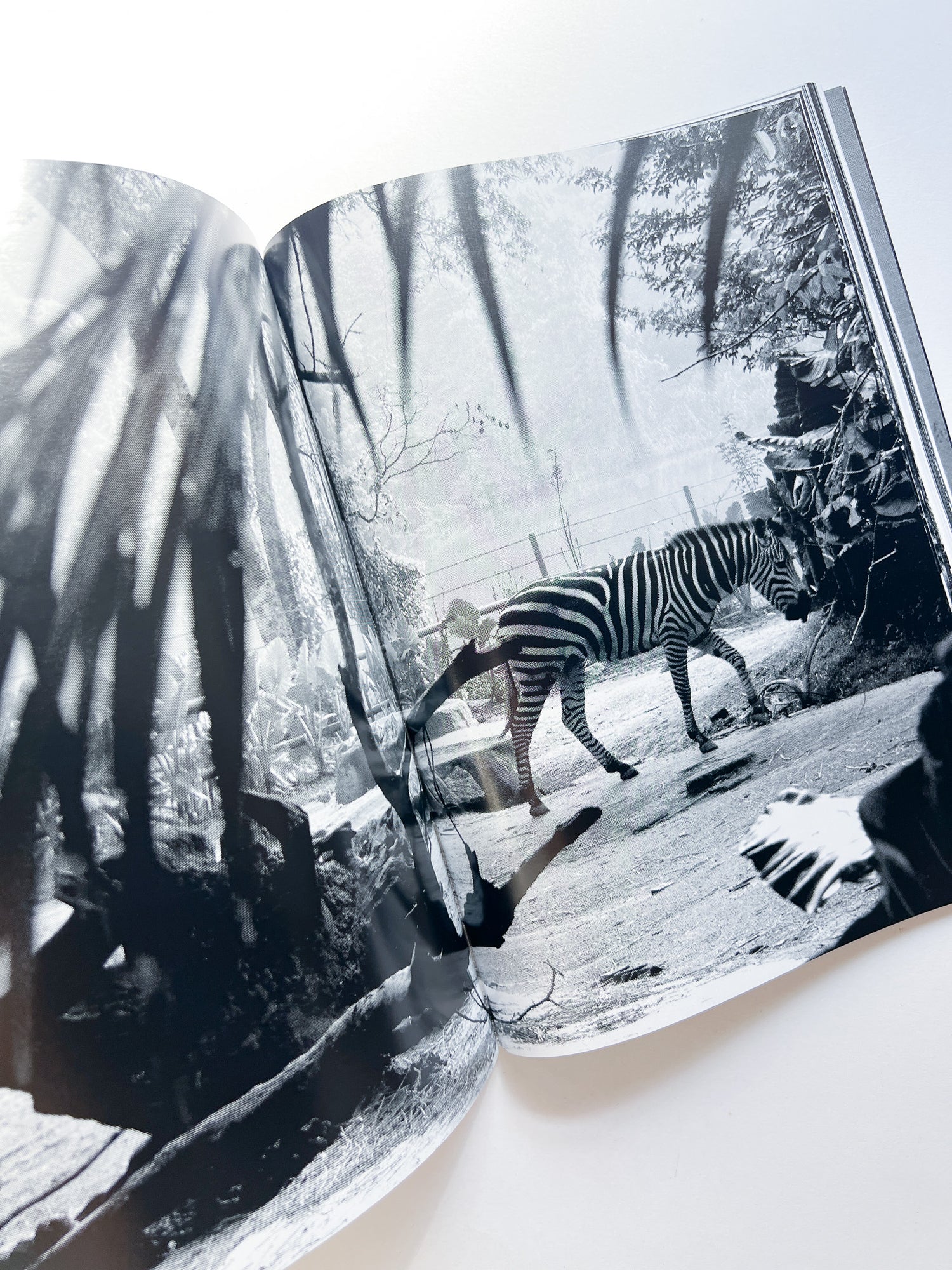 WERK No.7+8: The Inside Of A Shirt in collaboration with COMME des Garçons (Paris) / How To Defeat A Bully (2003/04)