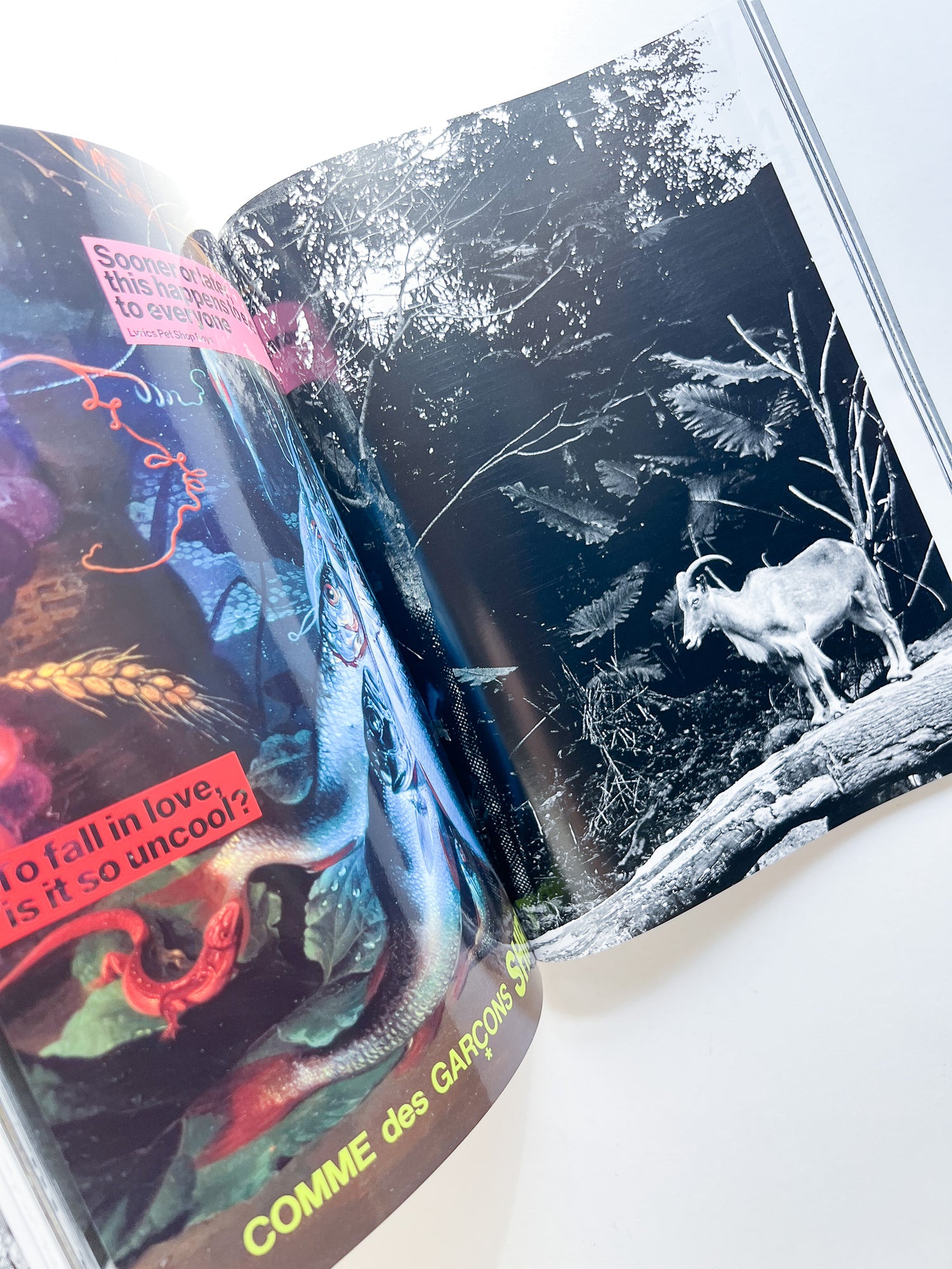 WERK No.7+8: The Inside Of A Shirt in collaboration with COMME des Garçons (Paris) / How To Defeat A Bully (2003/04)