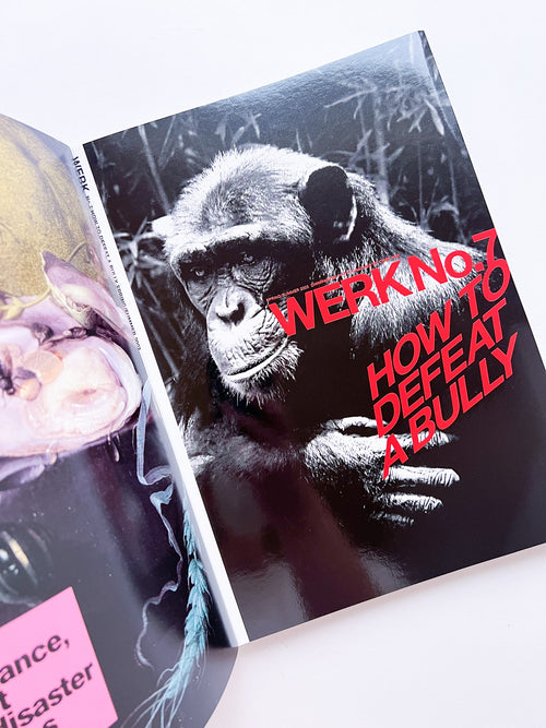 WERK No.7+8: The Inside Of A Shirt in collaboration with COMME des Garçons (Paris) / How To Defeat A Bully (2003/04)