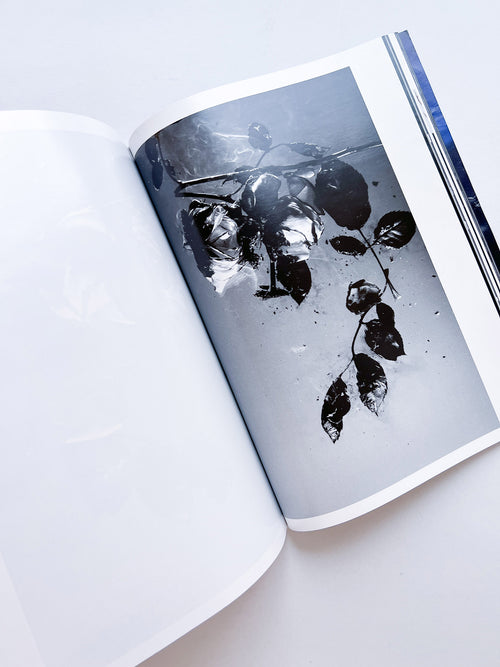 WERK No.9: Three-Stories in collaboration with adidas Originals (2004)