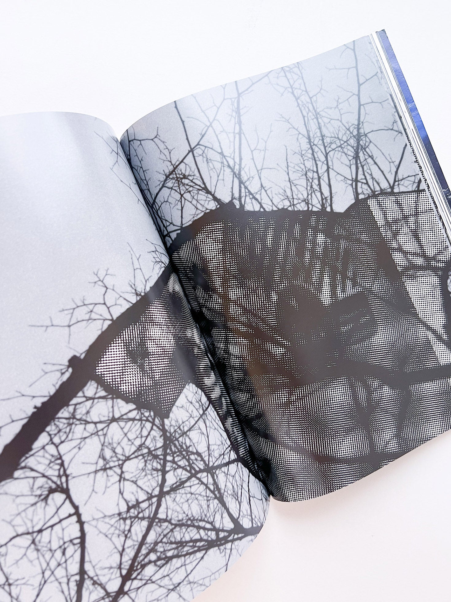 WERK No.9: Three-Stories in collaboration with adidas Originals (2004)