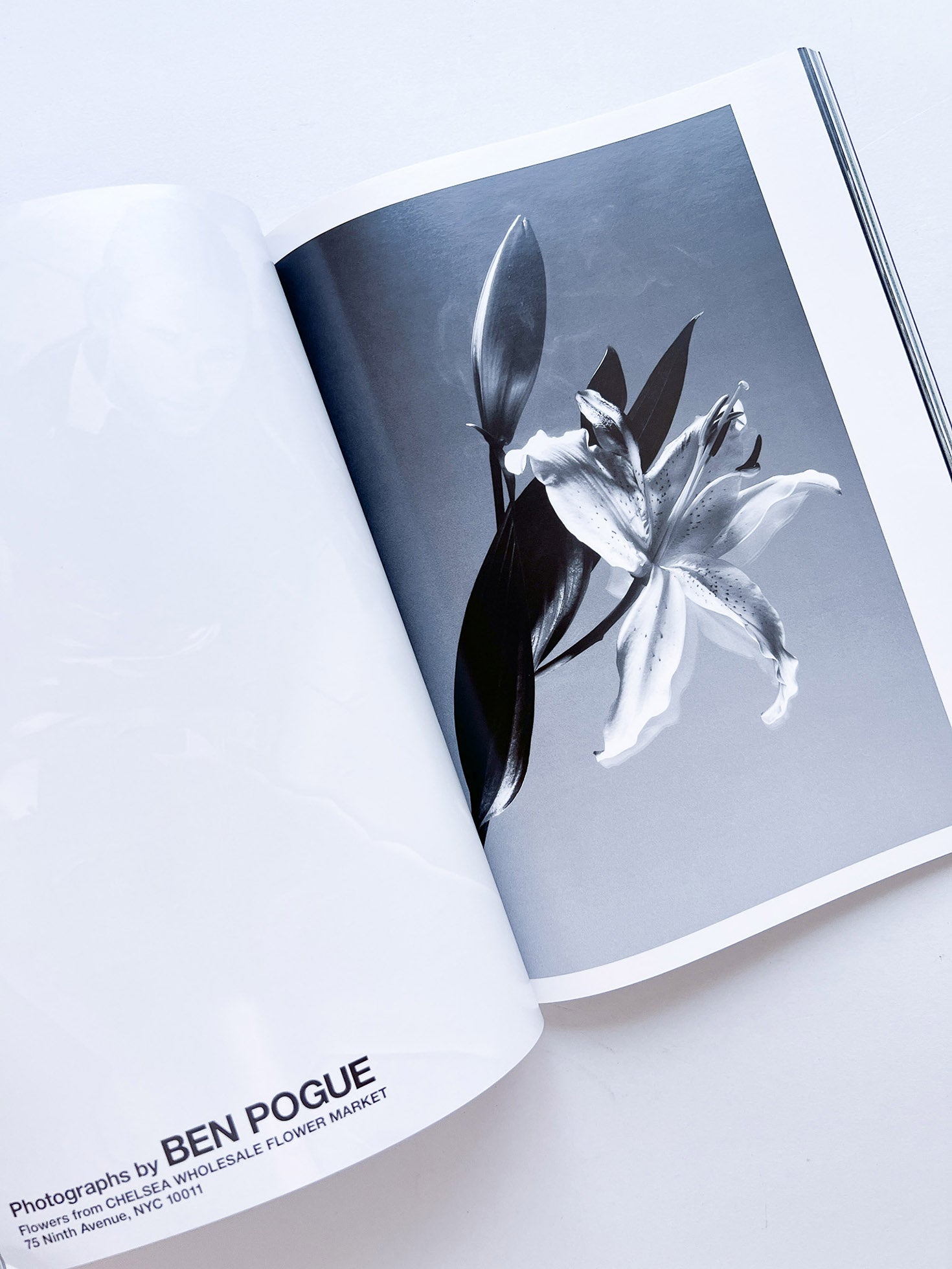 WERK No.9: Three-Stories in collaboration with adidas Originals (2004)