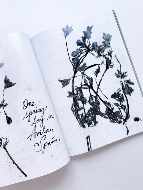 WERK No.9: Three-Stories in collaboration with adidas Originals (2004)