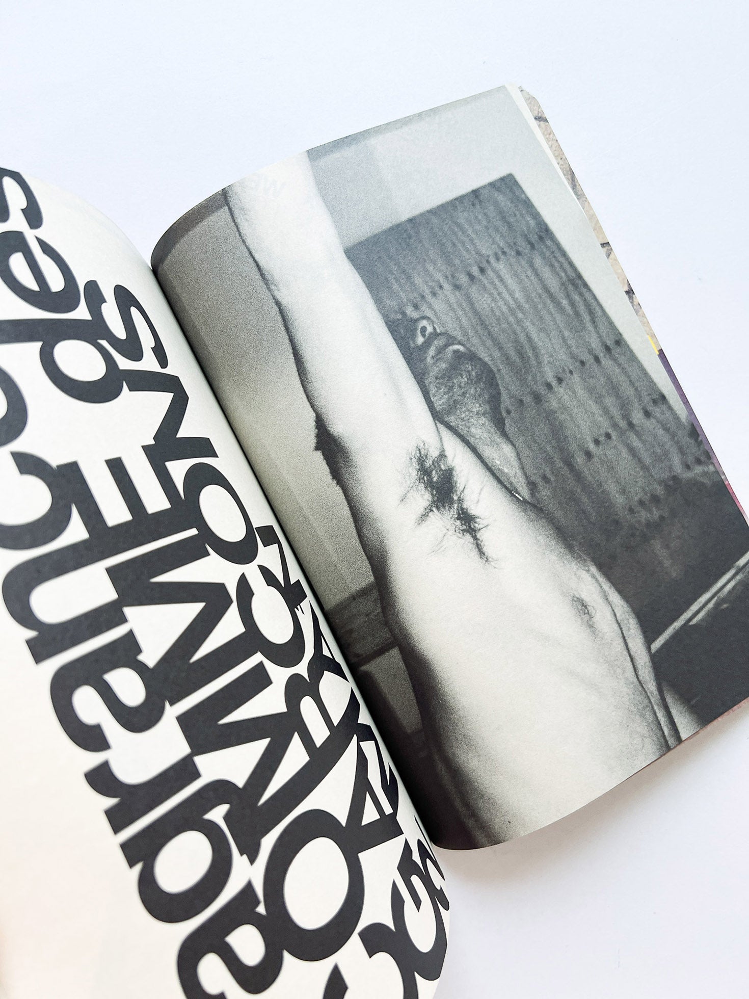 WERK No.X: Meetings in collaboration with Colette and GUERRILLAZINE No.1 (2004/05)