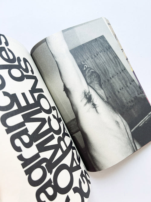 WERK No.X: Meetings in collaboration with Colette and GUERRILLAZINE No.1 (2004/05)