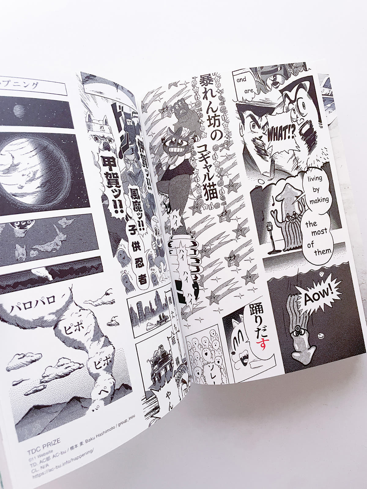 Tokyo TDC Vol.36