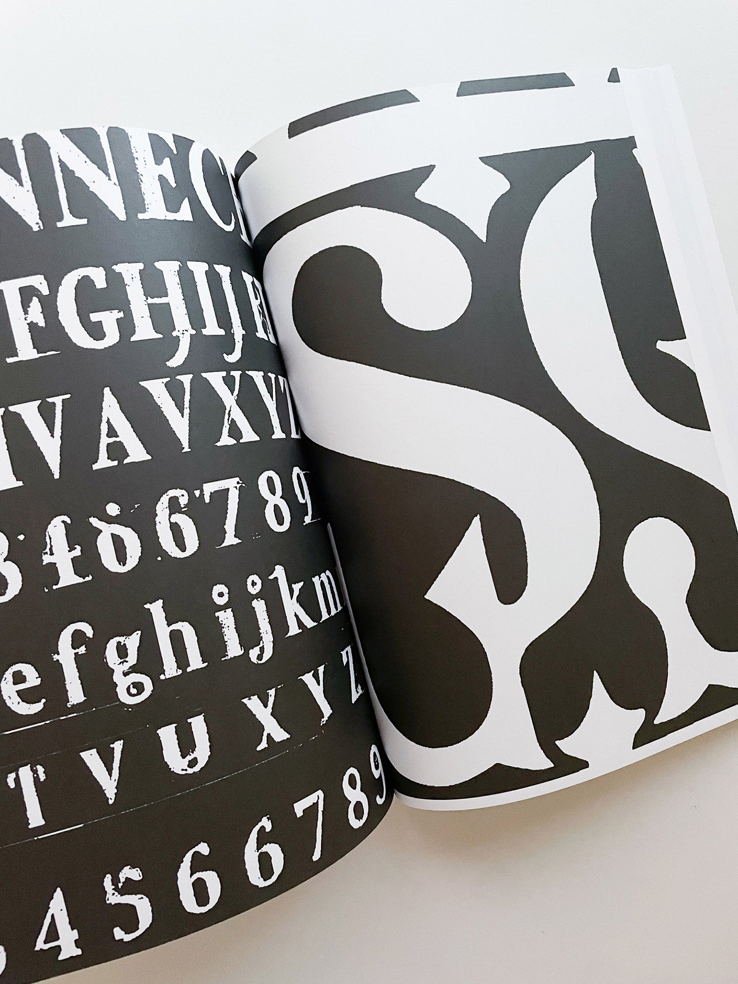 Archeology of Consequent Forms (includes Font License) / Orlando Brunner