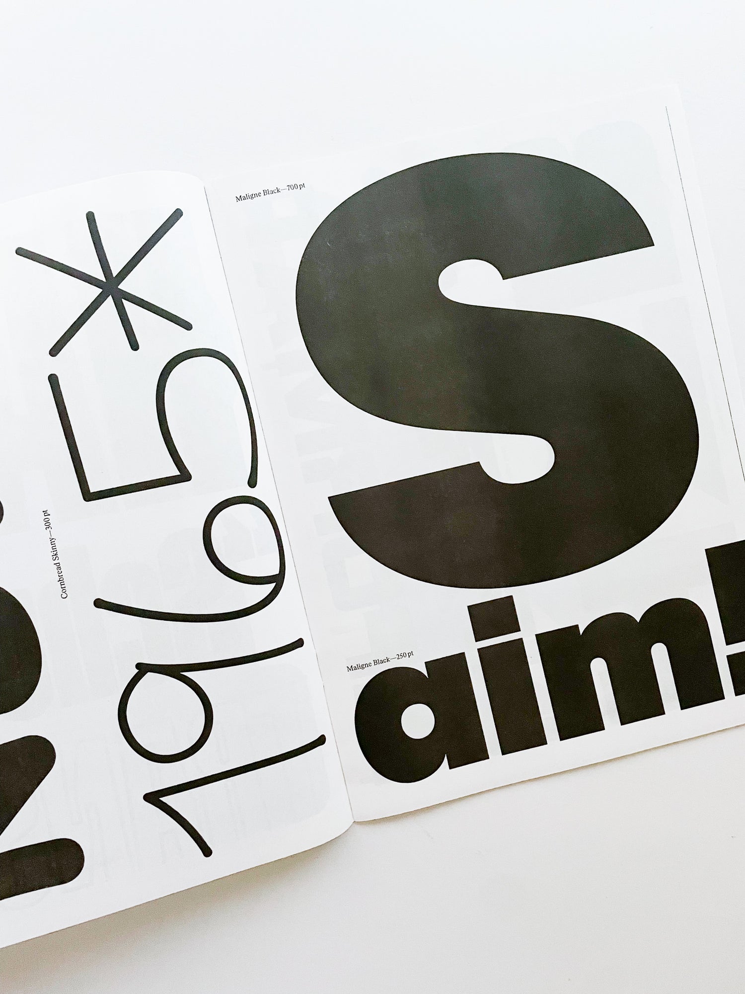 Maxitype Journal №1