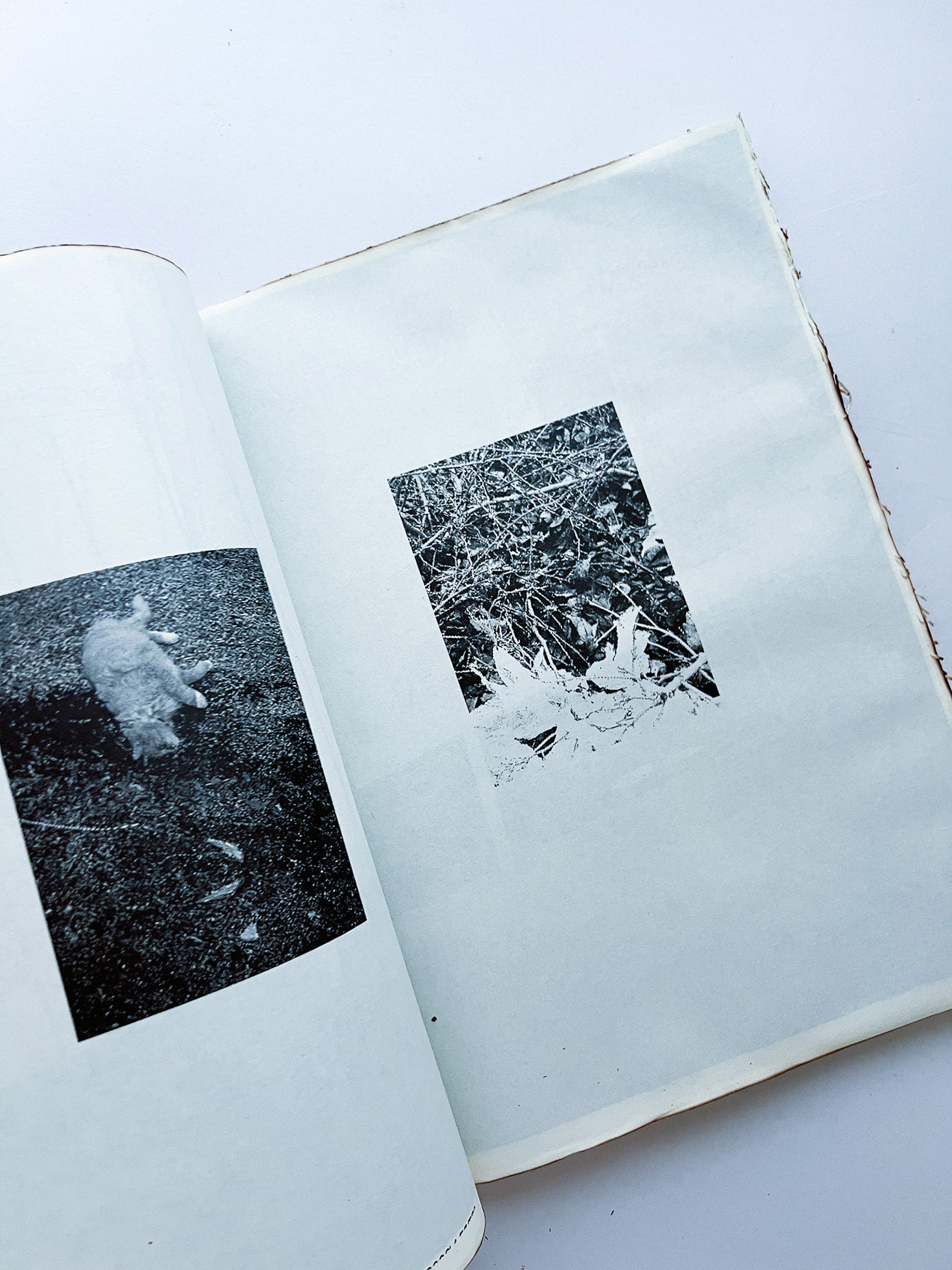 GUERRILLAZINE No.4: Urban Poetry – The Beauty of the Ordinary (2006)