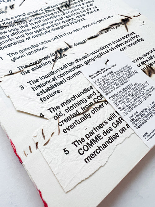 GUERRILLAZINE No.6: Ideas For Corporate Salvation (2009)