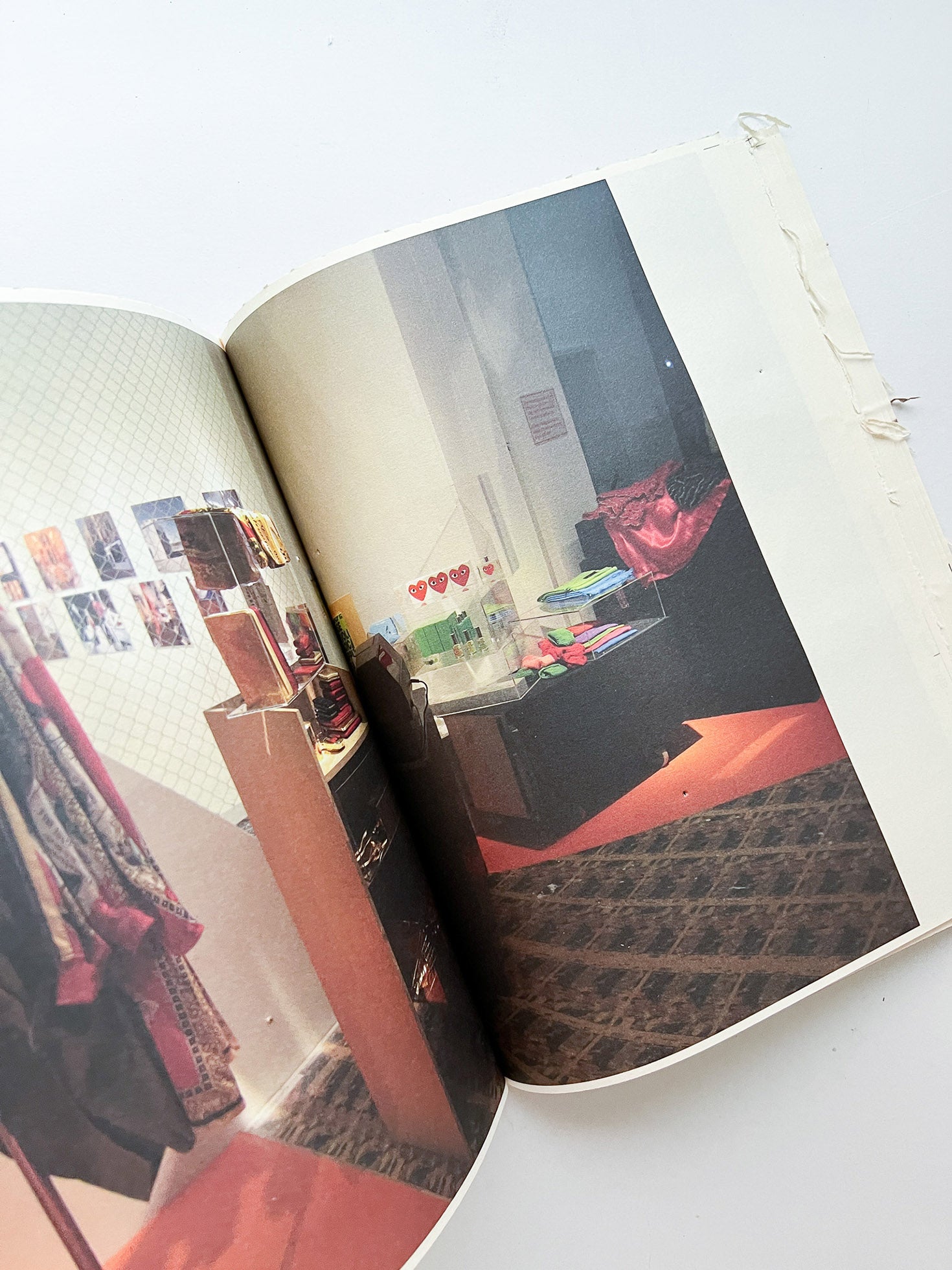 GUERRILLAZINE No.6: Ideas For Corporate Salvation (2009)