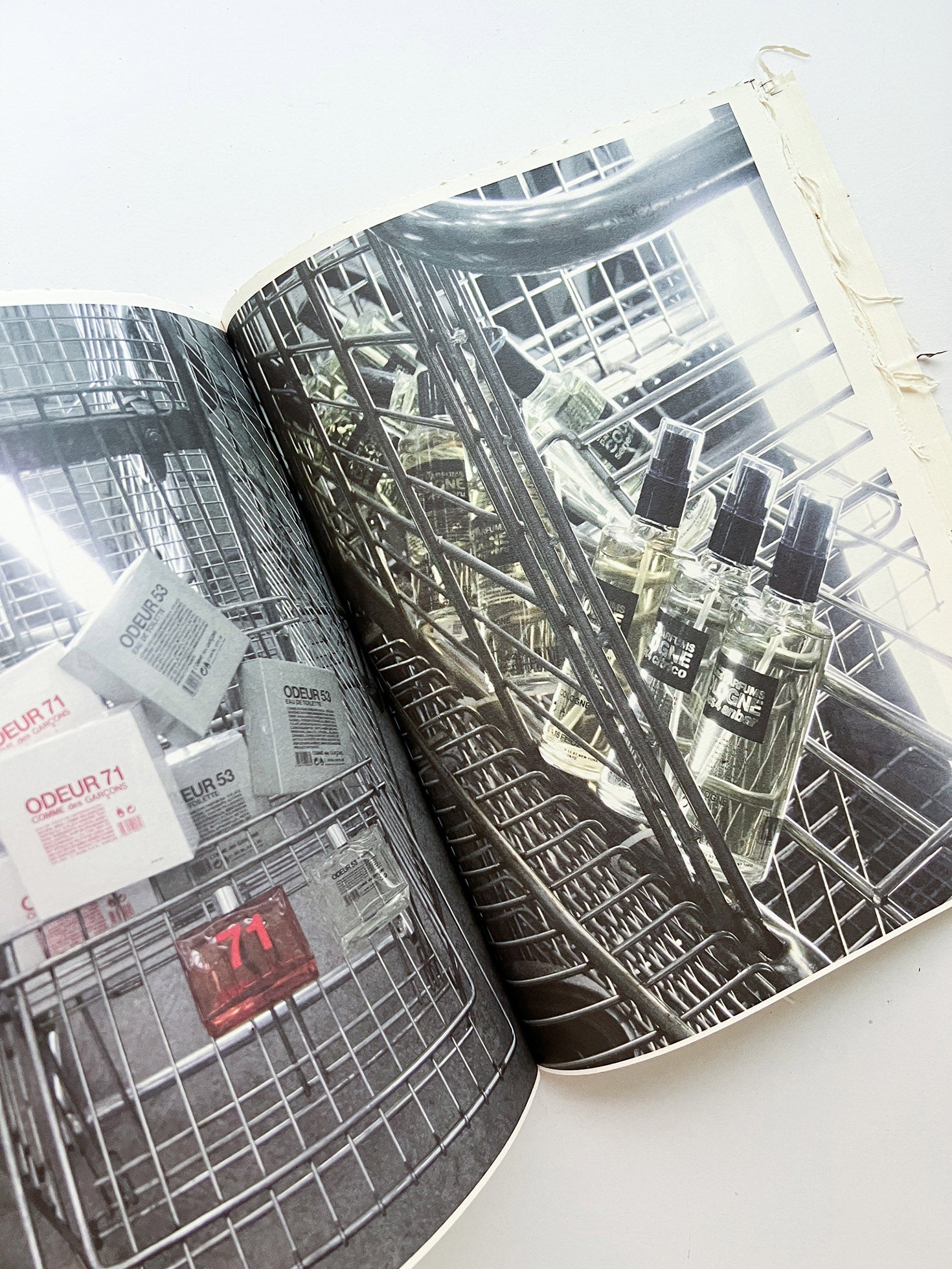 GUERRILLAZINE No.6: Ideas For Corporate Salvation (2009)