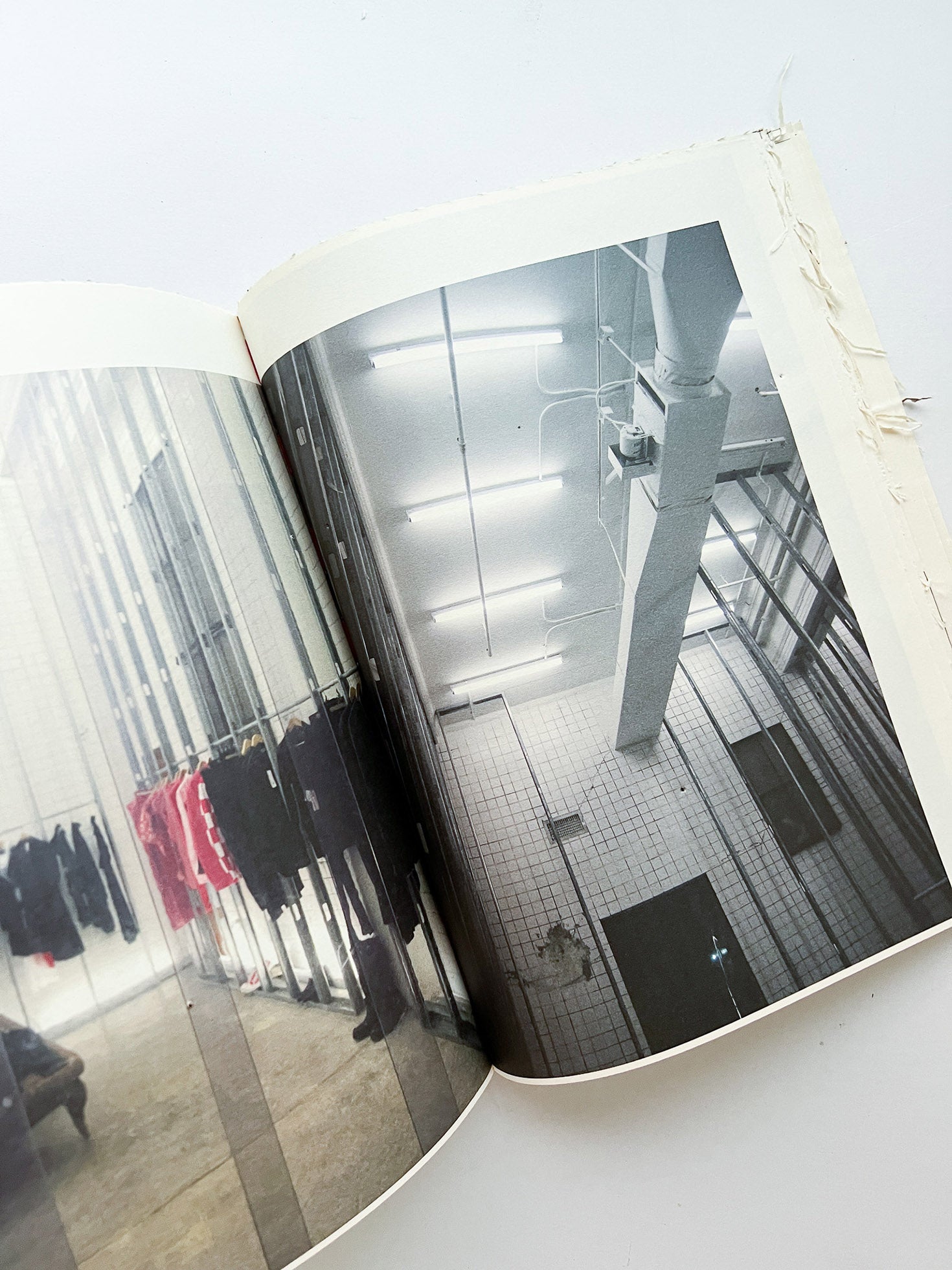 GUERRILLAZINE No.6: Ideas For Corporate Salvation (2009)