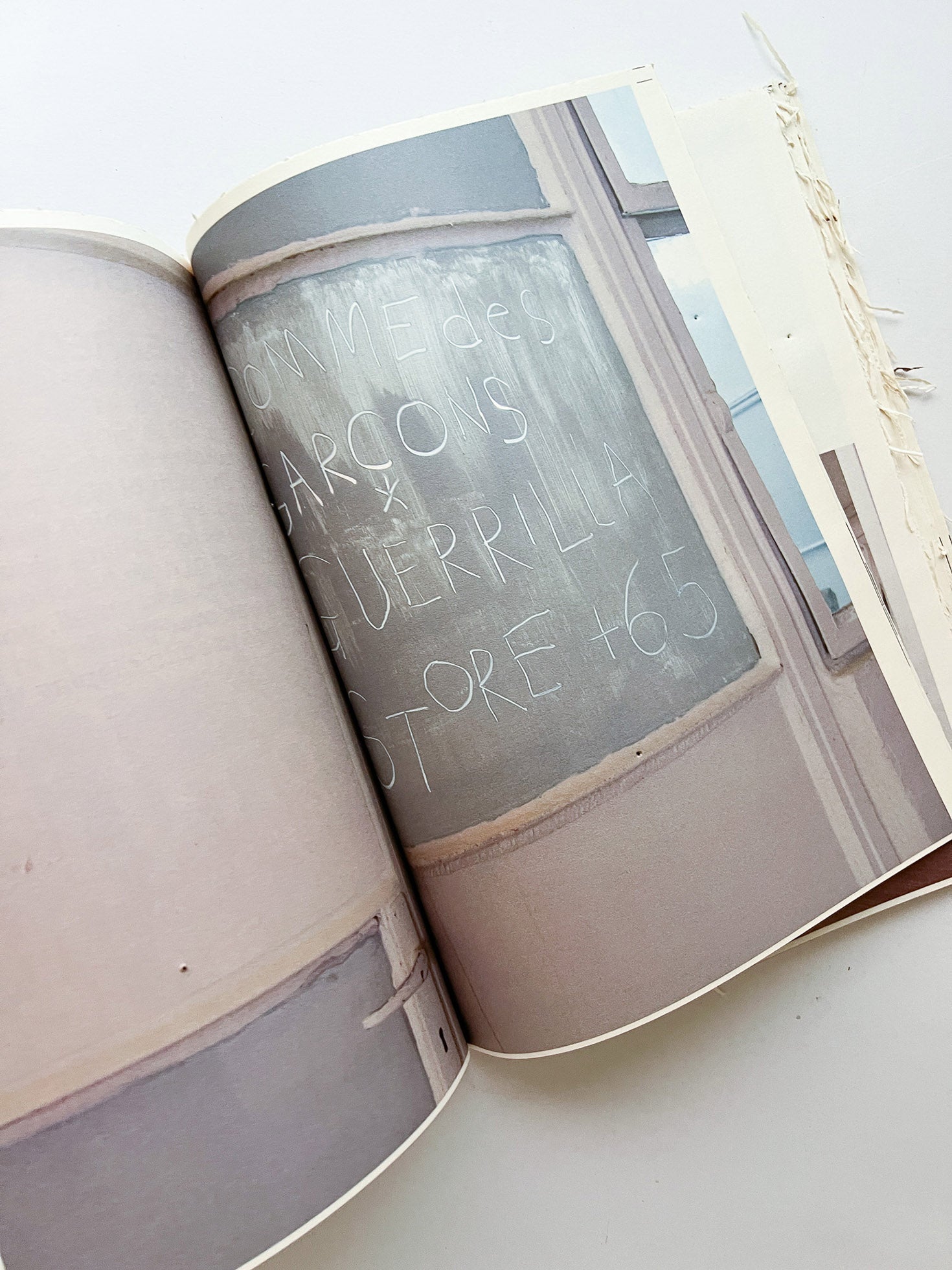 GUERRILLAZINE No.6: Ideas For Corporate Salvation (2009)