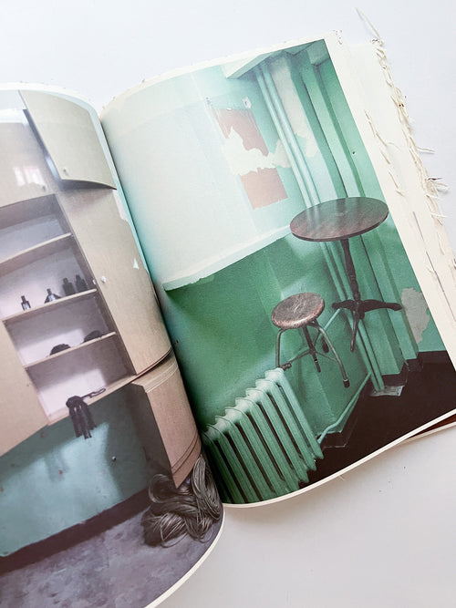 GUERRILLAZINE No.6: Ideas For Corporate Salvation (2009)