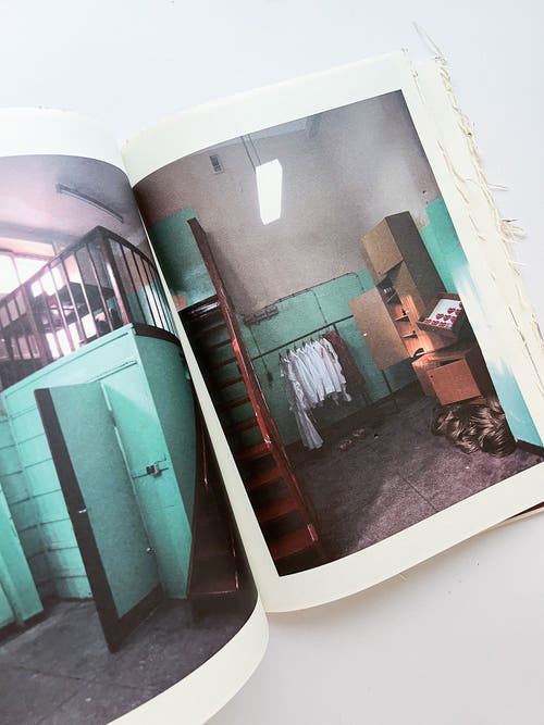GUERRILLAZINE No.6: Ideas For Corporate Salvation (2009)