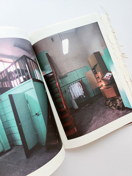 GUERRILLAZINE No.6: Ideas For Corporate Salvation (2009)