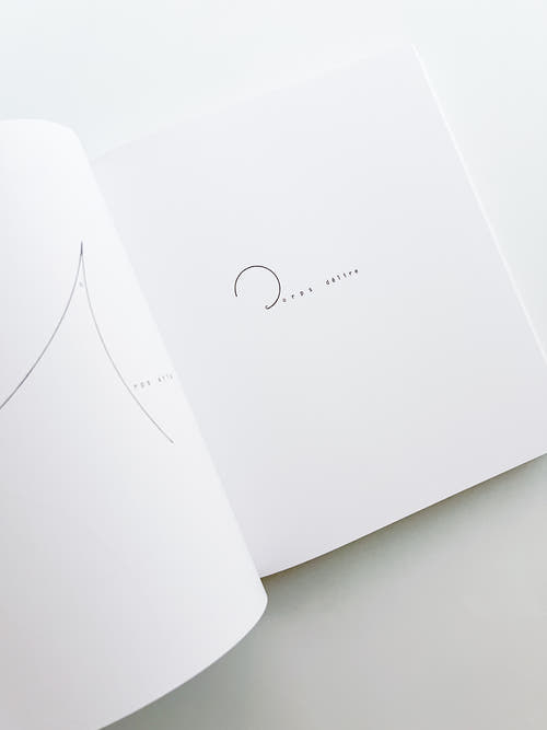 WOMEN IN CONCRETE POETRY: 1959-1979