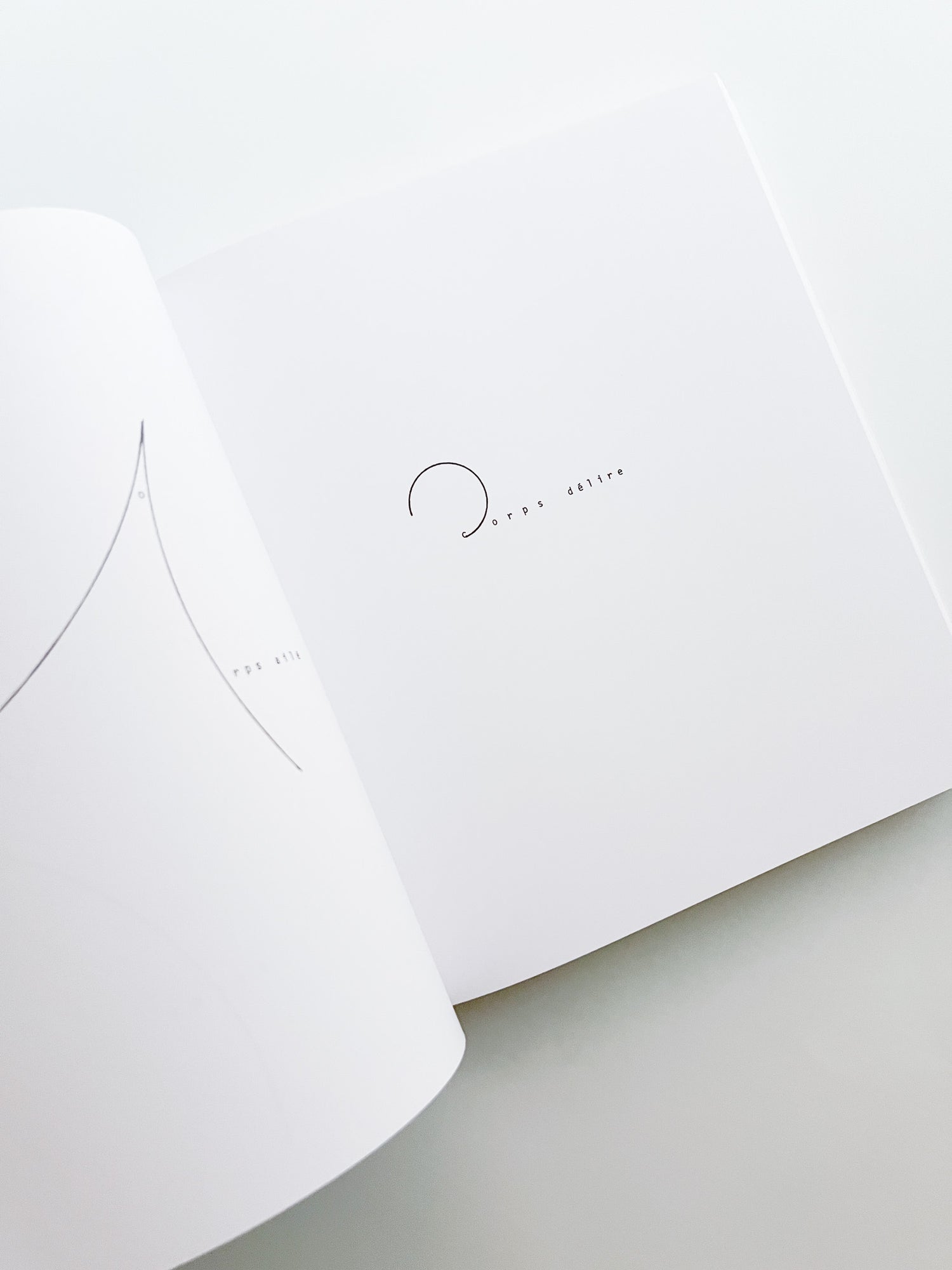 WOMEN IN CONCRETE POETRY: 1959-1979