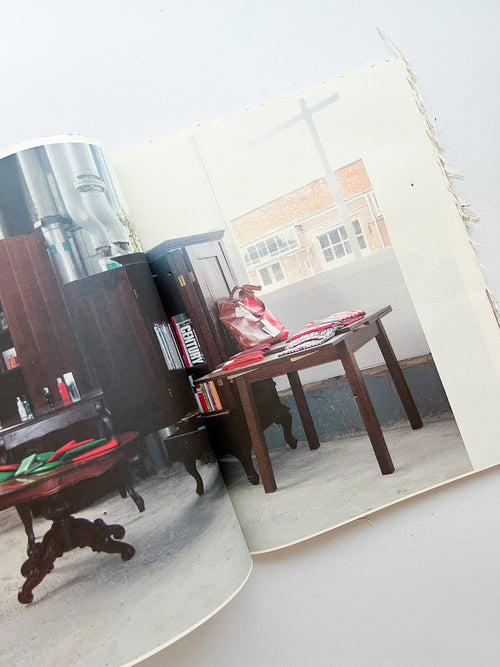 GUERRILLAZINE No.6: Ideas For Corporate Salvation (2009)