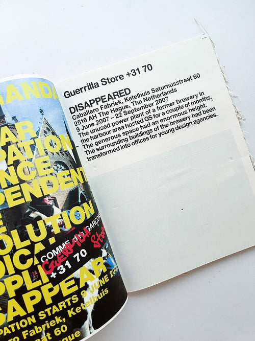 GUERRILLAZINE No.6: Ideas For Corporate Salvation (2009)