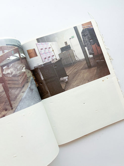 GUERRILLAZINE No.6: Ideas For Corporate Salvation (2009)