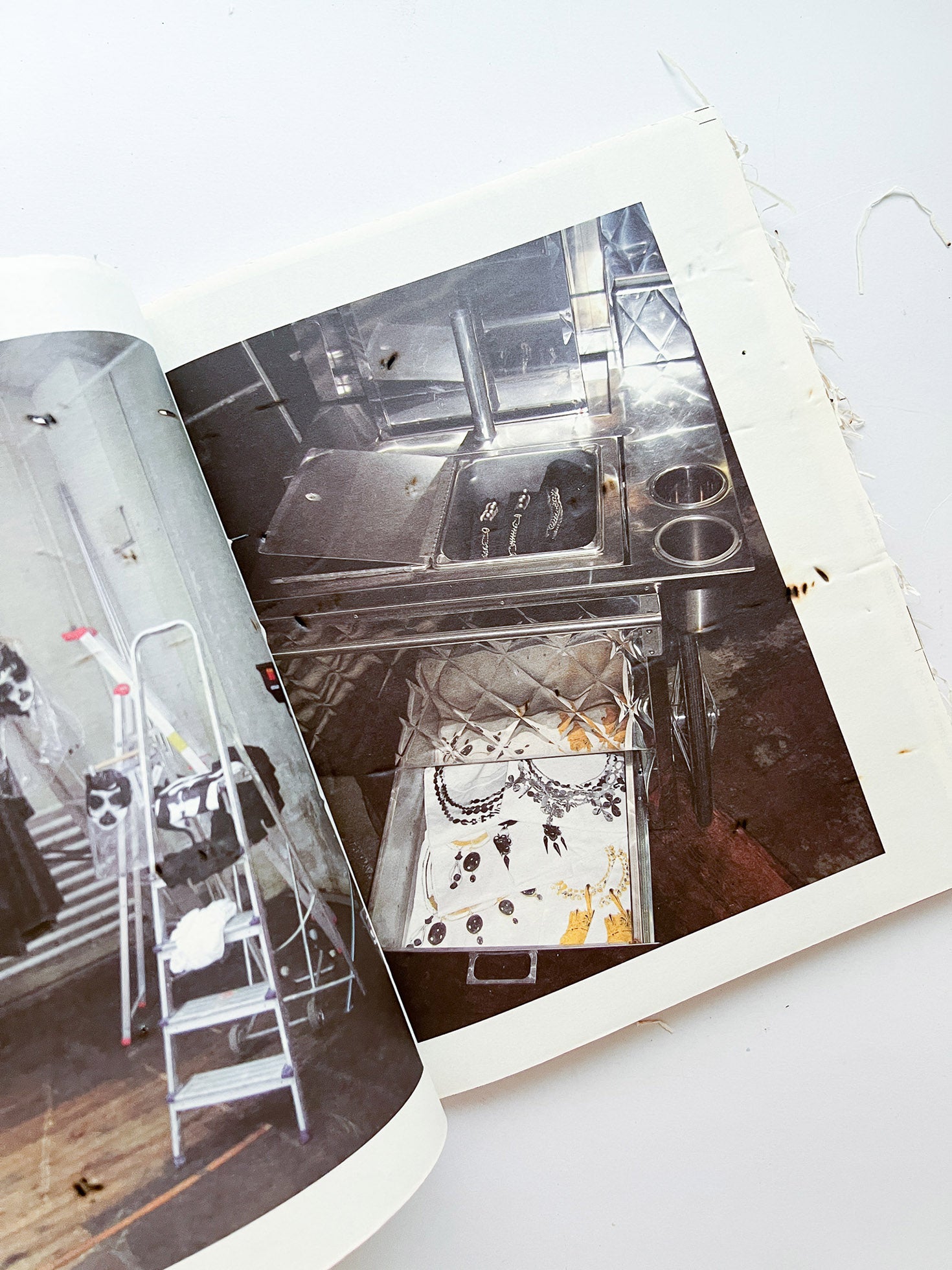 GUERRILLAZINE No.6: Ideas For Corporate Salvation (2009)