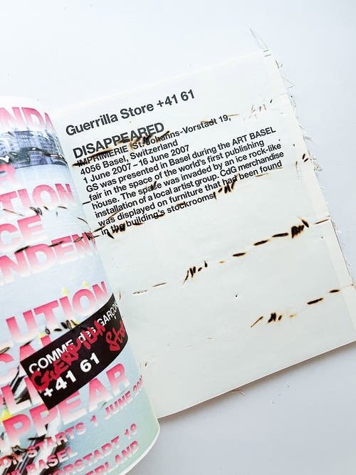GUERRILLAZINE No.6: Ideas For Corporate Salvation (2009)