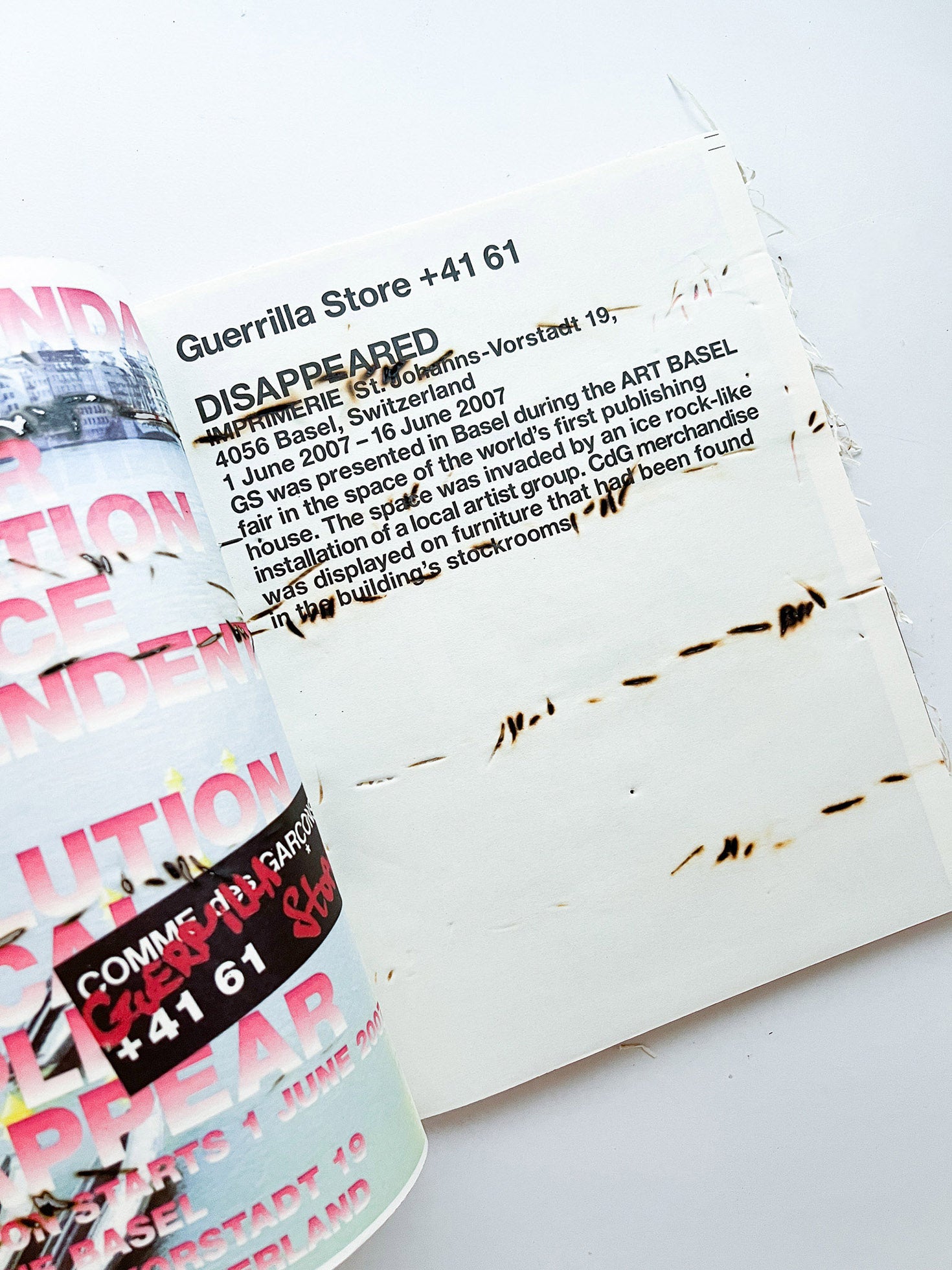 GUERRILLAZINE No.6: Ideas For Corporate Salvation (2009)
