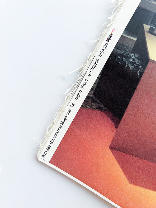 GUERRILLAZINE No.6: Ideas For Corporate Salvation (2009)