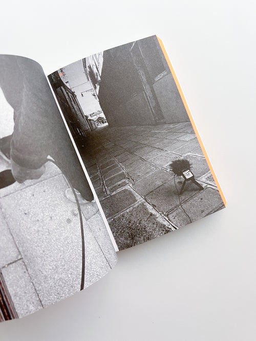 WHEN WORDS FAIL - ON PRACTICE-BASED ART, DESIGN AND EDUCATION