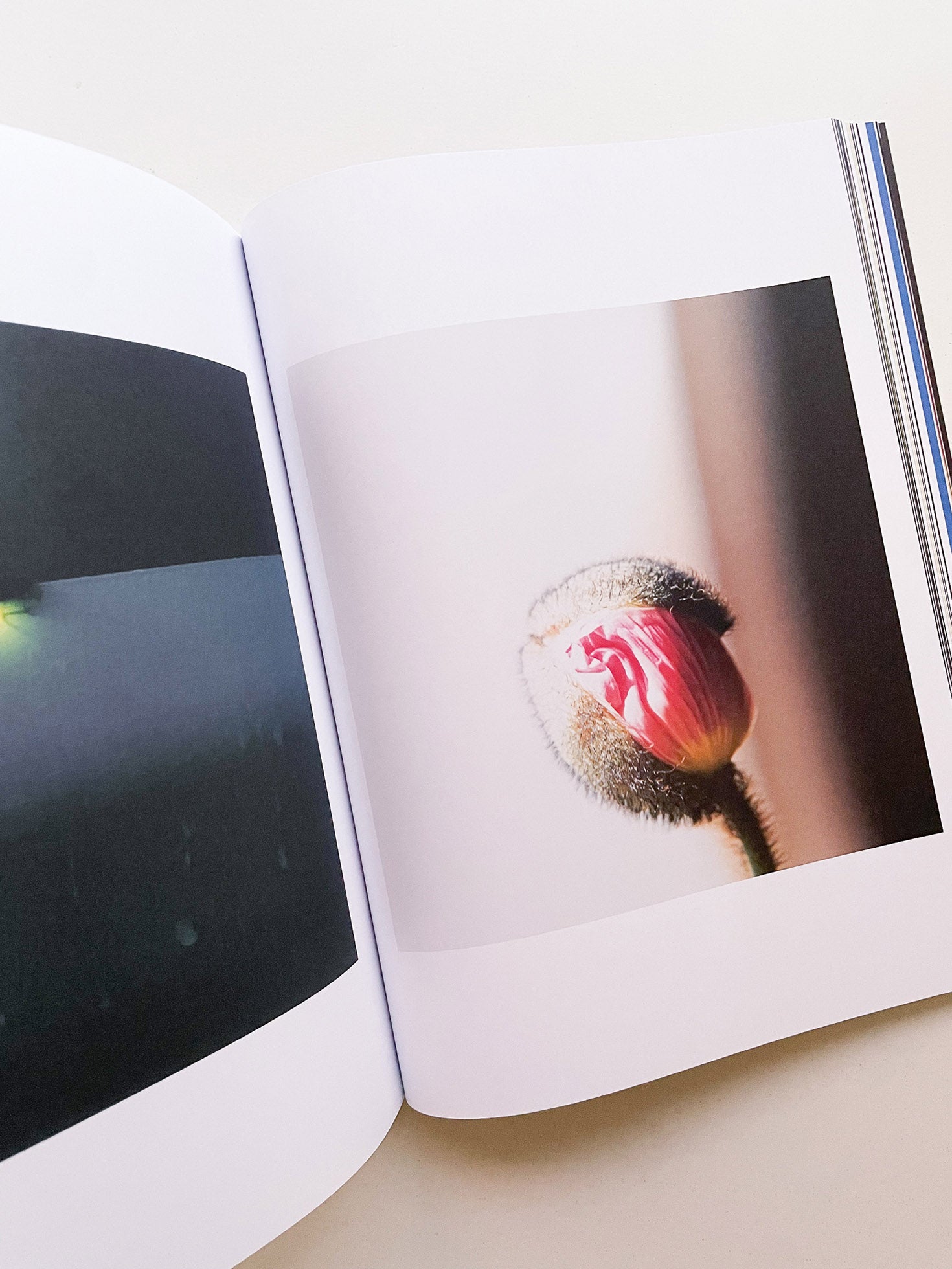 EPOCH ISSUE 03 COVER: DANIEL SHEA & OMAIMA SALEM