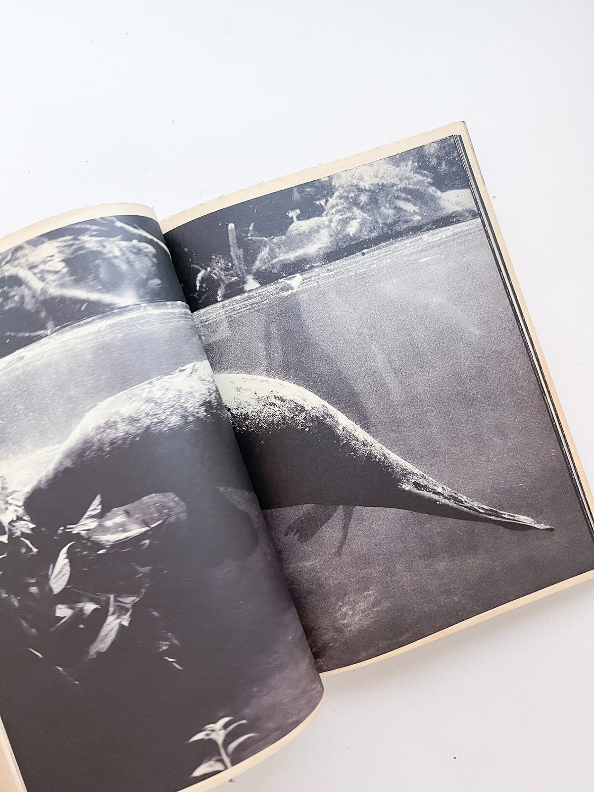 WERK No.20: Ginza – The Extremities Of The Printed Matter (2012)