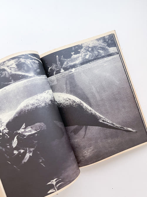 WERK No.20: Ginza – The Extremities Of The Printed Matter (2012)