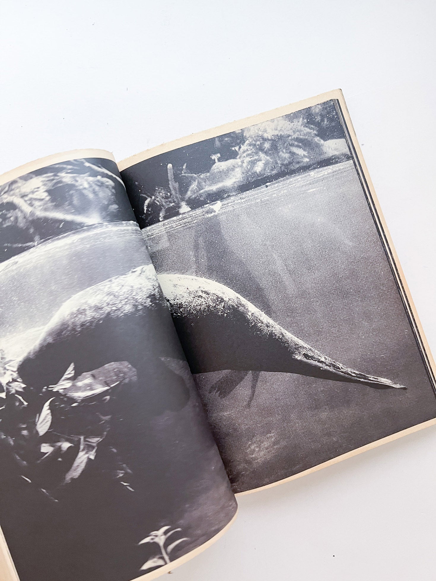 WERK No.20: Ginza – The Extremities Of The Printed Matter (2012)