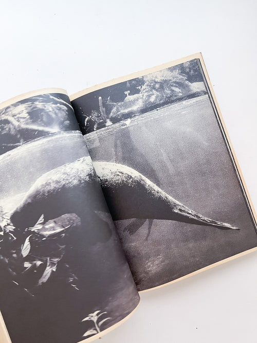 WERK No.20: Ginza – The Extremities Of The Printed Matter (2012)