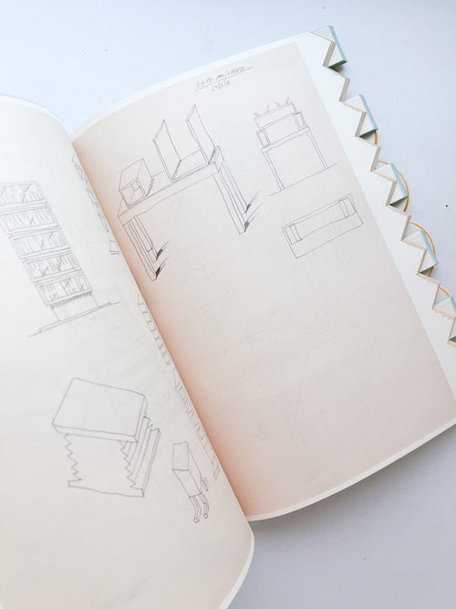 WERK No.21: Martine Bedin. Essay and interview by Alison Harley (2014)