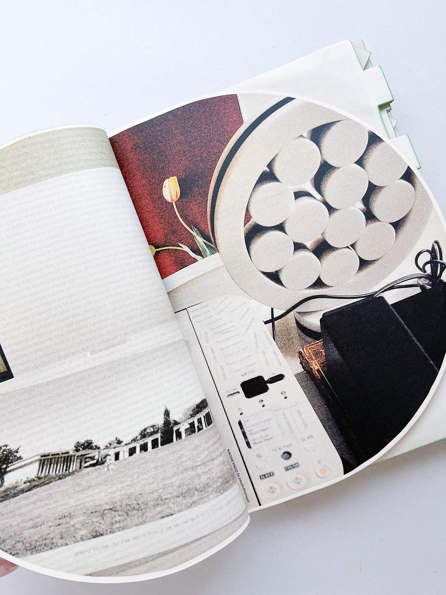 WERK No.21: Martine Bedin. Essay and interview by Alison Harley (2014)