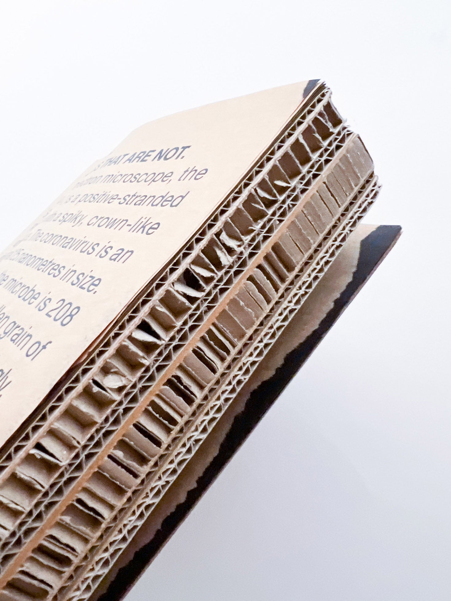 WERK No.28: Eugene Cheong “The Things That Are Not” (2021)